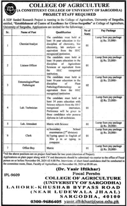 University of Sargodha Jobs October 2024