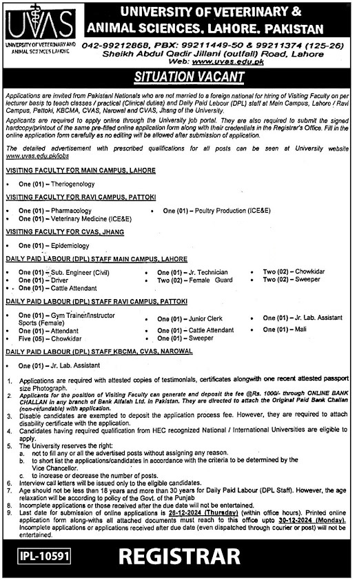 University of Veterinary and Animal Sciences UVAS Lahore Jobs 2024