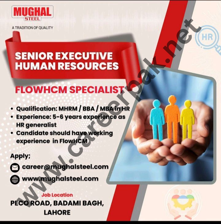 Senior Executive HR Jobs