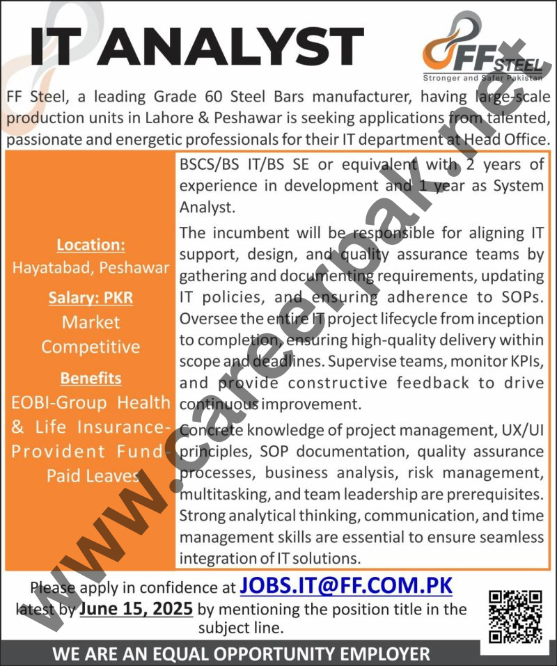 It Analyst