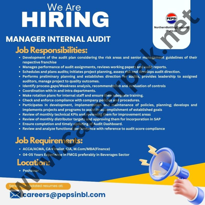Manager Internal Audit Jobs