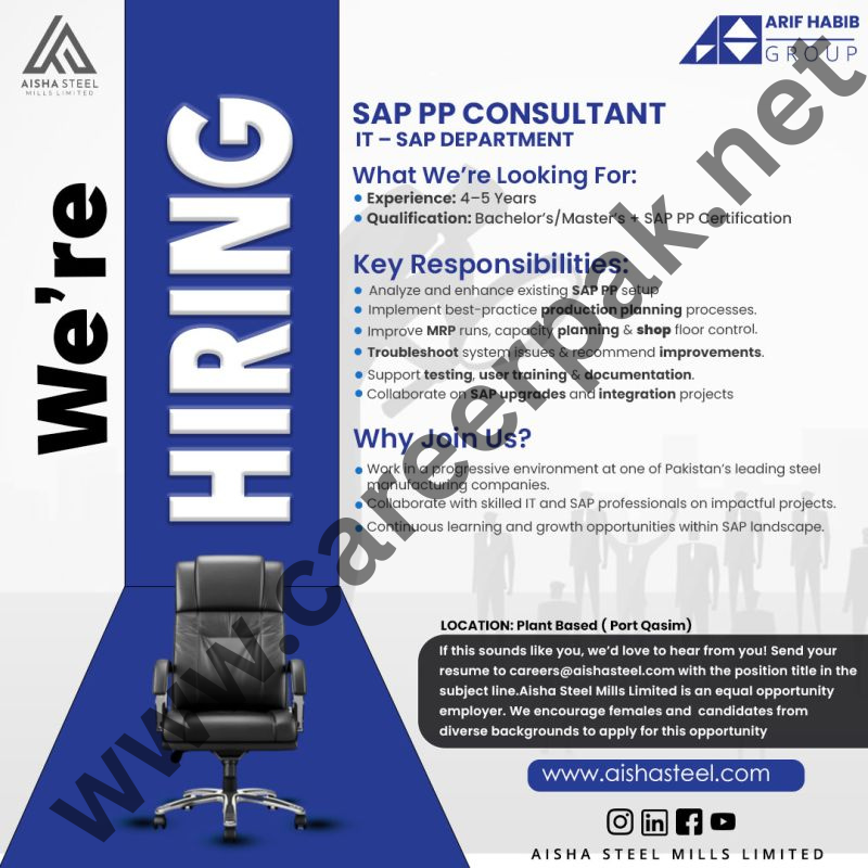 SAP PP Consultant