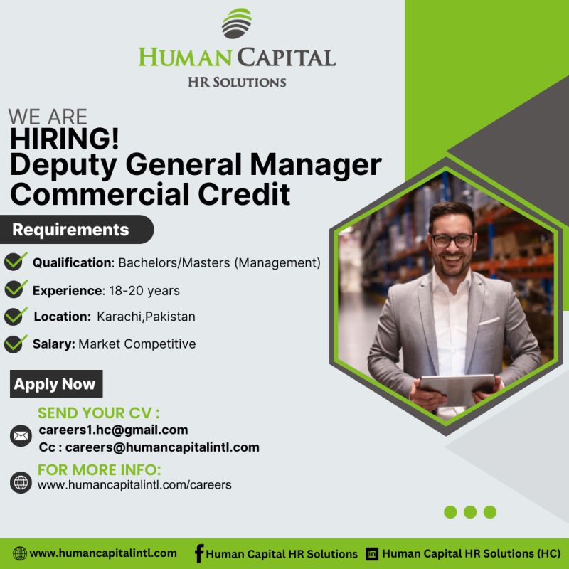 Deputy General Manager Commercial Credit